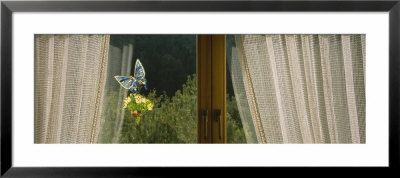 Close-Up Of Flowers And A Butterfly Painted On A Window, Germany by Panoramic Images Pricing Limited Edition Print image