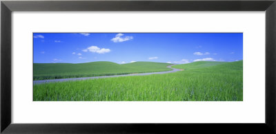 Wheat Field Gravel Road, Whitman County, Washington State, Usa by Panoramic Images Pricing Limited Edition Print image