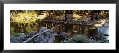 Bare Tree Lying On Stones, Merced River, Californian Sierra Nevada, California, Usa by Panoramic Images Pricing Limited Edition Print image