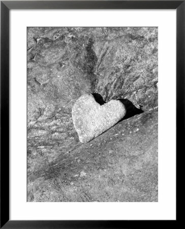 Heart Shaped Rock, Sradled In Larger Rock by Janell Davidson Pricing Limited Edition Print image