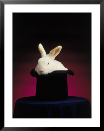 Magician's Rabbit In Hat by Kent Dufault Pricing Limited Edition Print image