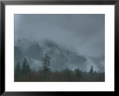Fog-Covered Mountain In Alaska by Klaus Nigge Pricing Limited Edition Print image
