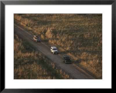 Aerial View Of Land Rovers Travelling A Dirt Road In The Park by Bobby Model Pricing Limited Edition Print image