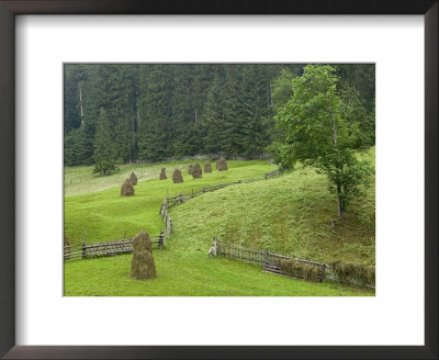 Haystacks, Bucovina, Romania by Russell Young Pricing Limited Edition Print image