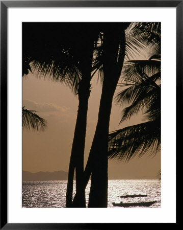Tropical Island Paradise, Fiji, Pacific by John Hay Pricing Limited Edition Print image