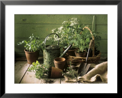 Still Life With Various Herbs In Pots by Gerrit Buntrock Pricing Limited Edition Print image