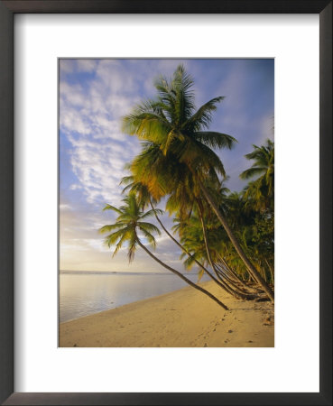 Palm Trees And Beach, Pigeon Point, Tobago, Trinidad And Tobago, West Indies by Gavin Hellier Pricing Limited Edition Print image