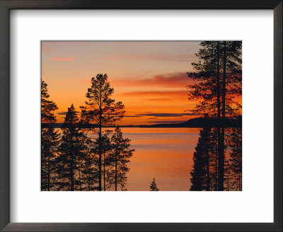 Laponia World Heritage Site, Lappland, Sweden, Scandinavia, Europe by Gavin Hellier Pricing Limited Edition Print image