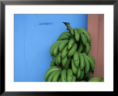 Unripened Bananas, Island Of Tobago, West Indies, Caribbean, Central America by Yadid Levy Pricing Limited Edition Print image