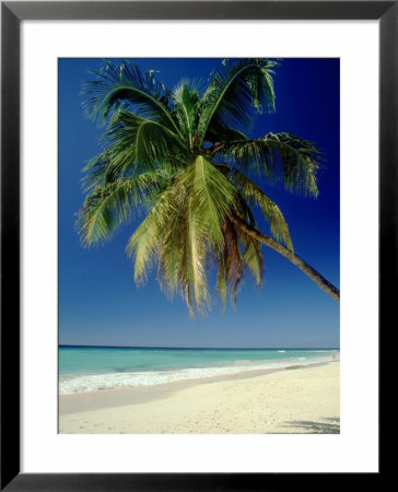 Beach, West Indies by Mike England Pricing Limited Edition Print image