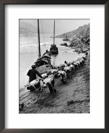 2 Rows Of Chinese Trackers Plodding Along Bank Of Yangtze River Towing A Junk Slowly Up River by Dmitri Kessel Pricing Limited Edition Print image