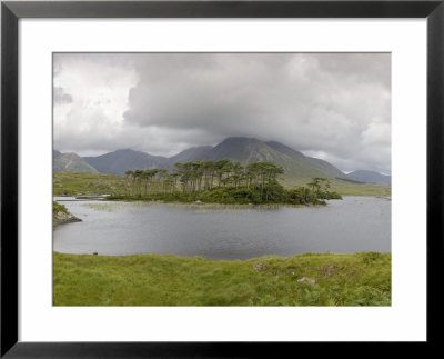 Derryclare Lough, Connemara, County Galway, Connnacht, Republic Of Ireland by Gary Cook Pricing Limited Edition Print image