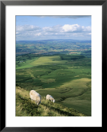 View North From Hay Bluff, With Distant Hay On Wye In Valley, Powys, Wales, United Kingdom by Richard Ashworth Pricing Limited Edition Print image