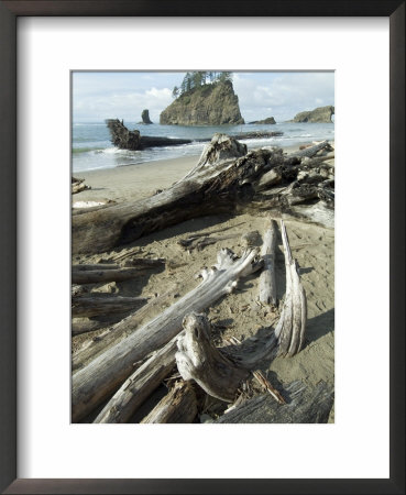 Second Beach, Olympic National Park, Unesco World Heritage Site, Washington State, Usa by Ethel Davies Pricing Limited Edition Print image