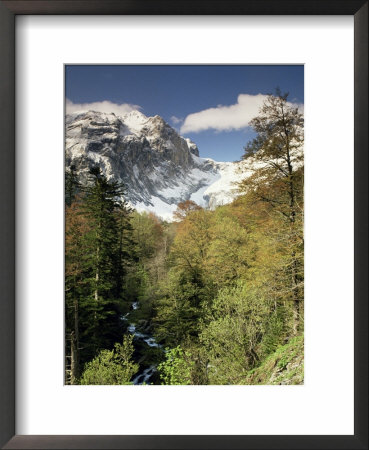 The Pyrenees Near Viella, Catalonia, Spain by Michael Busselle Pricing Limited Edition Print image
