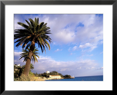 Palms, Monte Carlo, Cote D'azure, Monaco by Sergio Pitamitz Pricing Limited Edition Print image