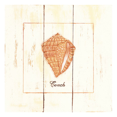 Rustic Shells: Conch by Cynthia Rodgers Pricing Limited Edition Print image