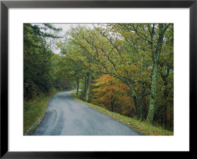 A Country Road Winding Through Trees by Kenneth Garrett Pricing Limited Edition Print image