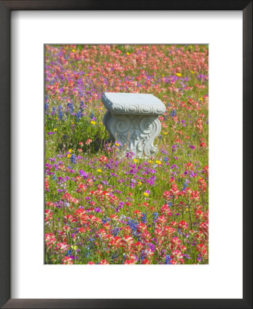 Bench In Graveyard Near Nixon, Texas, Usa by Darrell Gulin Pricing Limited Edition Print image