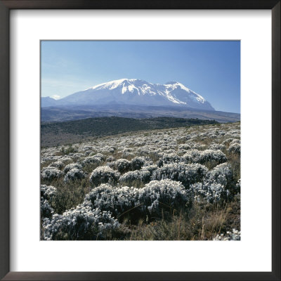 Mount Kilimanjaro, The Breach Wall, As Seen From Shira Plateau by David Pluth Pricing Limited Edition Print image
