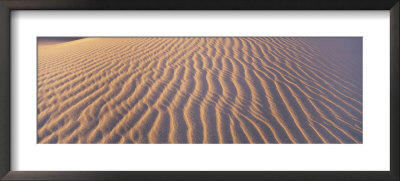 Wind Patterns In The Sand by Bill Hatcher Pricing Limited Edition Print image