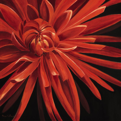 Gorgeous Dahlia by Rian Withaar Pricing Limited Edition Print image