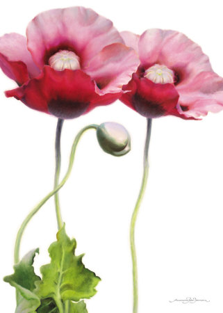 Purple Poppies by Annemarie Peter-Jaumann Pricing Limited Edition Print image