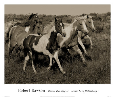 Horses Running Ii by Robert Dawson Pricing Limited Edition Print image