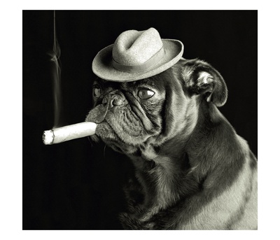 Pug Smoking A Cigar by Ej Lowe Pricing Limited Edition Print image