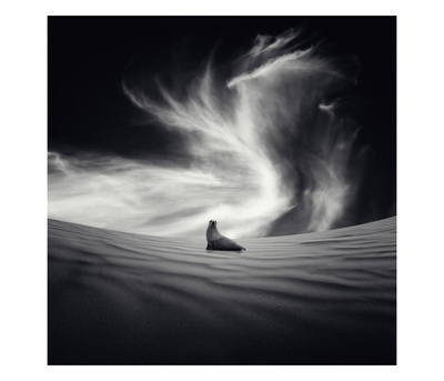 Desierto by Luis Beltran Pricing Limited Edition Print image