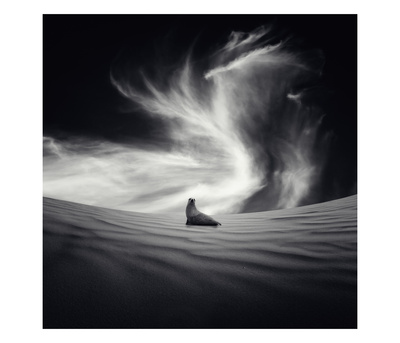 Desierto by Luis Beltran Pricing Limited Edition Print image