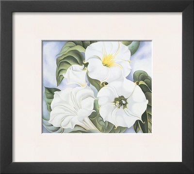 Jimson Weed, C.1935 by Georgia O'keeffe Pricing Limited Edition Print image