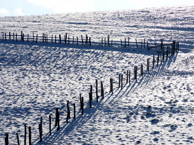Snowy Pastures With Fence by Ilona Wellmann Pricing Limited Edition Print image