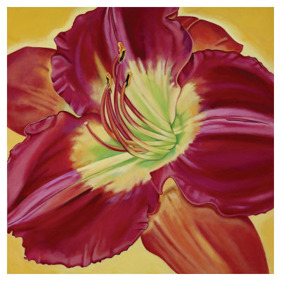 Red Day Lily Ii by Roberta Aviram Pricing Limited Edition Print image