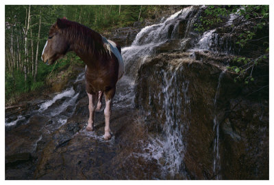 Pinto Passage by Steve Hunziker Pricing Limited Edition Print image