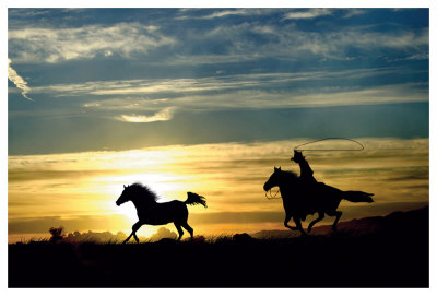 Sunset Ride by Stephanie Laird Pricing Limited Edition Print image