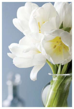 White Tulips Bouquet by Christine Zalewski Pricing Limited Edition Print image