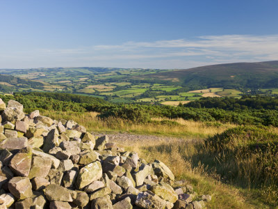 Selworthy Beacon Near Bossington Hill, Exmoor National Park, Somerset, England, United Kingdom by Adam Burton Pricing Limited Edition Print image