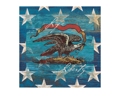 Eagle I Stars by Alan Hopfensperger Pricing Limited Edition Print image