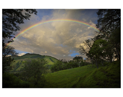 Green Field With Clouds & Rainbow by Nish Nalbandian Pricing Limited Edition Print image