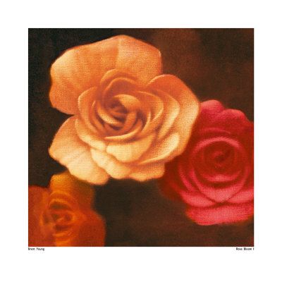 Rose Bloom I by Brent Young Pricing Limited Edition Print image