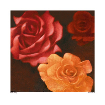 Rose Bloom Ii by Brent Young Pricing Limited Edition Print image