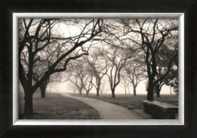 Foggy Morning Walk by Laura Denardo Pricing Limited Edition Print image