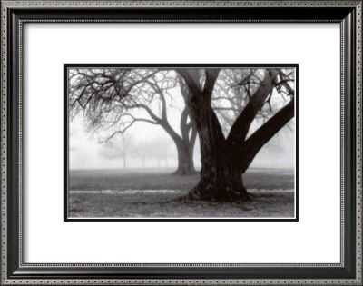 Strength And Beauty by Laura Denardo Pricing Limited Edition Print image