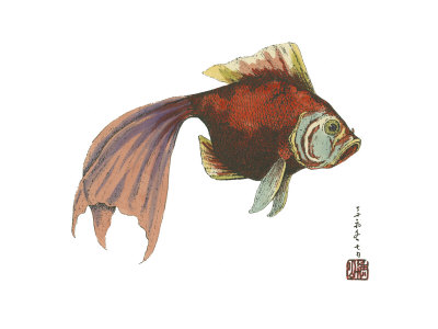 Oriental Fish I by Vision Studio Pricing Limited Edition Print image
