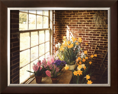 Flower House Morning by Philbeck Pricing Limited Edition Print image