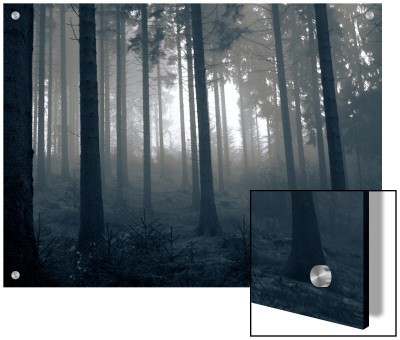 Fog In The Woods by I.W. Pricing Limited Edition Print image