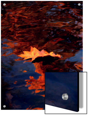 Autumn Leaf In Lake by I.W. Pricing Limited Edition Print image