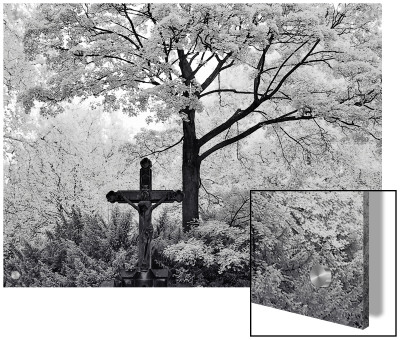 Crucifix Near Tree In Cemetery by I.W. Pricing Limited Edition Print image