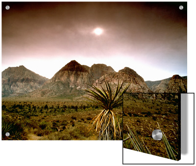 Mojave Desert, Las Vegas, Nevada by M.N. Pricing Limited Edition Print image